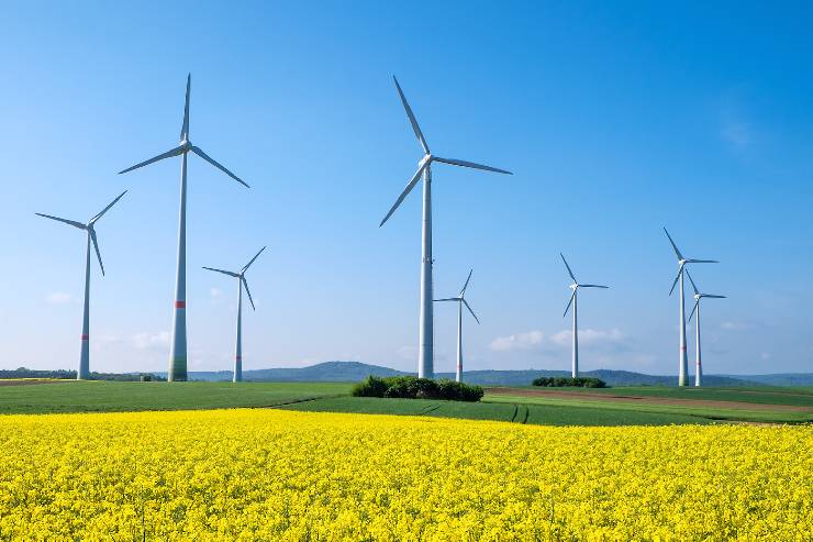 Wind Power Projects