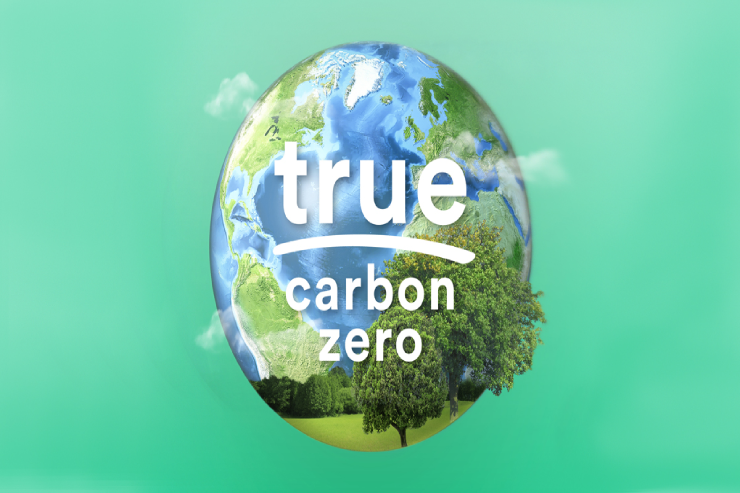 Zero Carbon Emissions: Definitions, Strategies and Future Trend